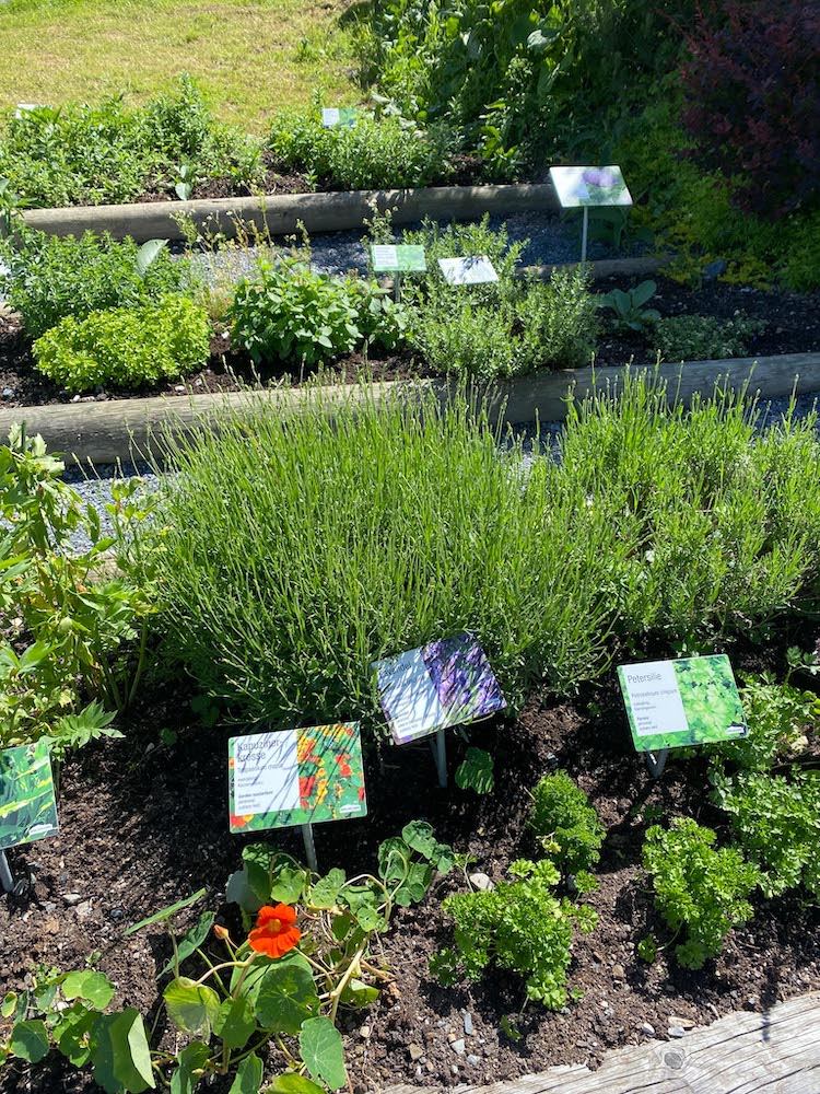 Herb Gardens