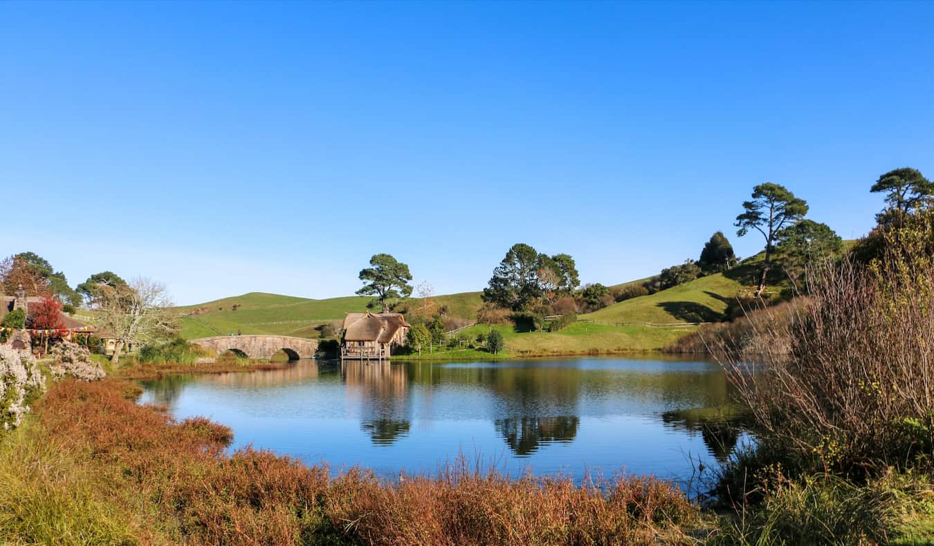 Wandering paths and calm waters in the Hobbiton film set in New Zealand