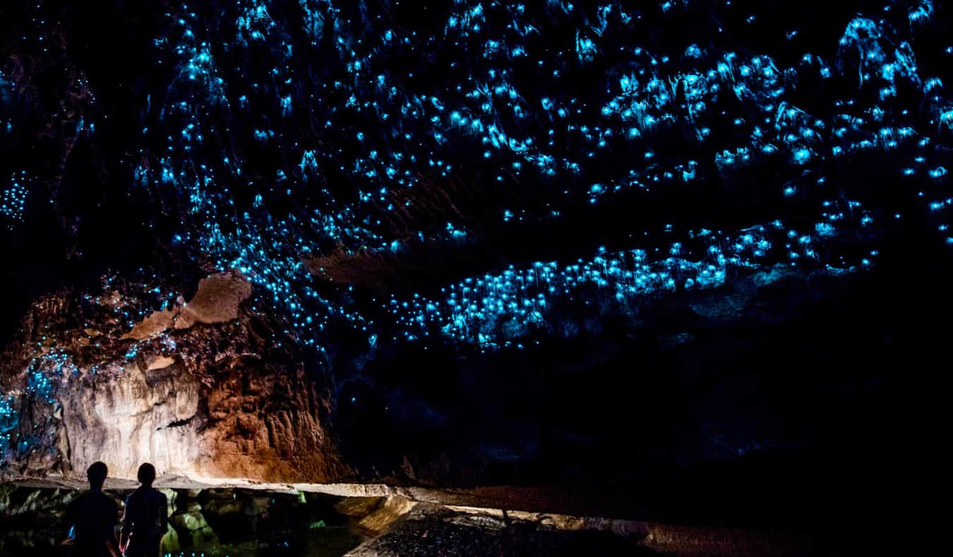 The famous glow worms in a cave in Waitomo, New Zealand